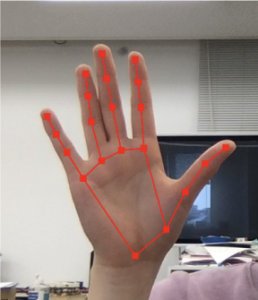 骨格トラッキング